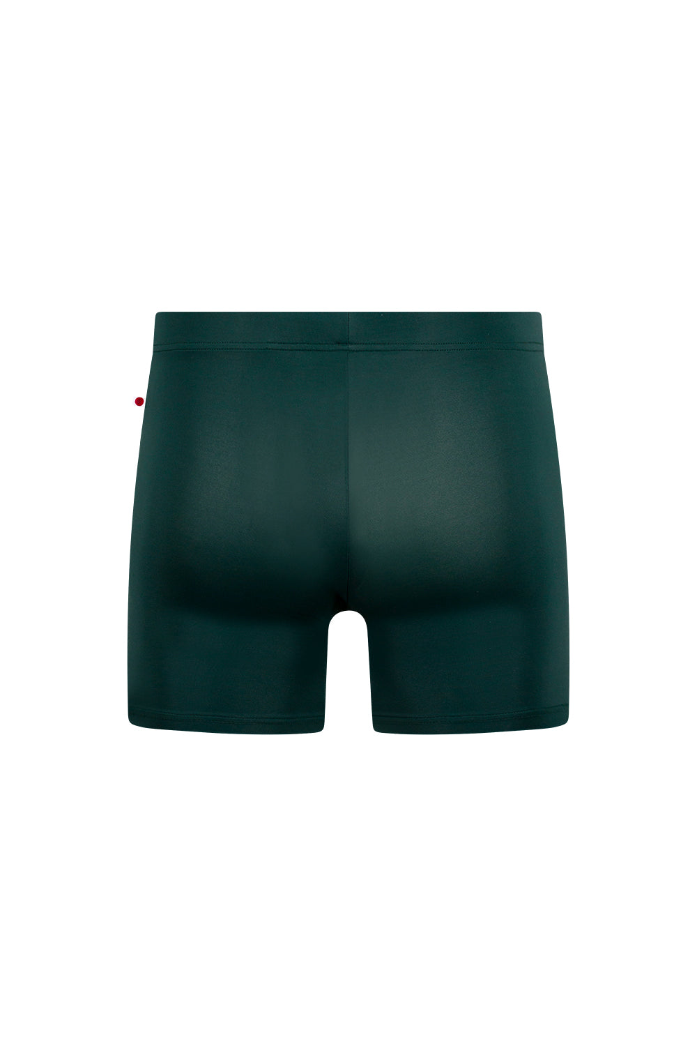 Steven shorts in T-Kale