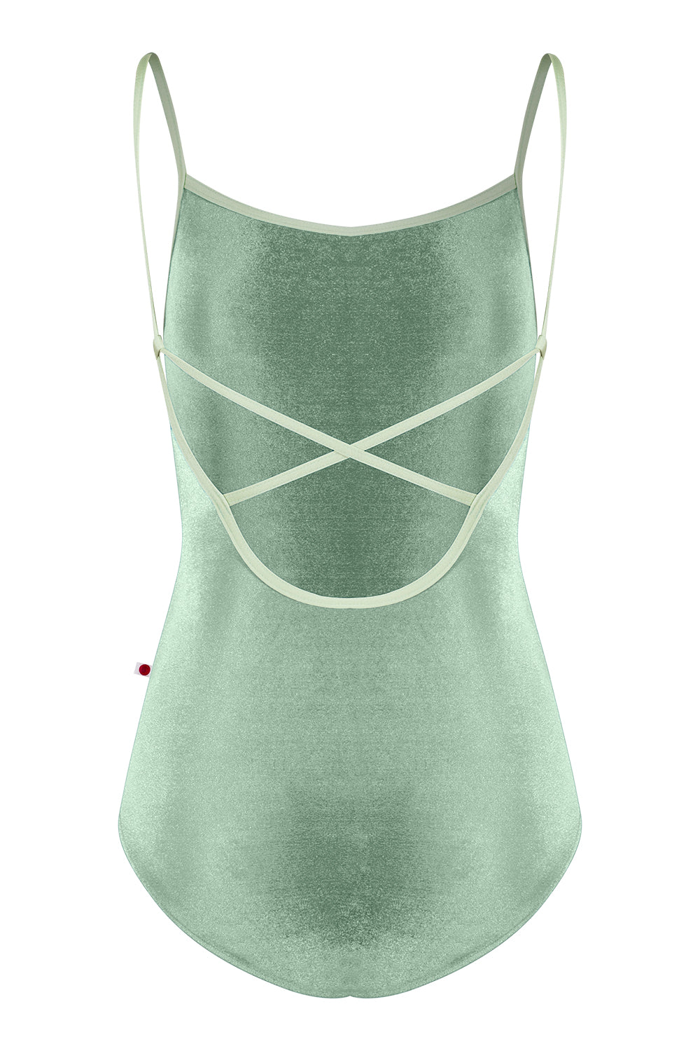 Daniela leotard in V-Meadow body color with N-Ginko trim color