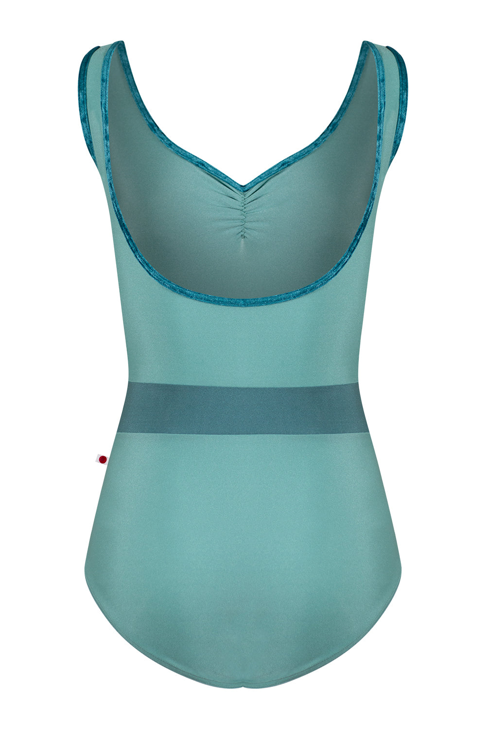 Lucy leotard in N-Cactus body & top color with CV-Juniper trim color and N-Frost middle band color