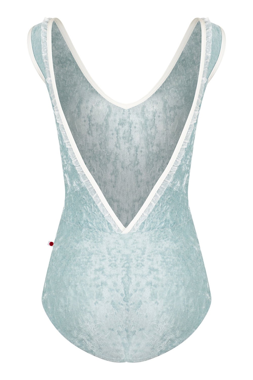 Gina leotard in CV-Ice body color with N-Antique trim color