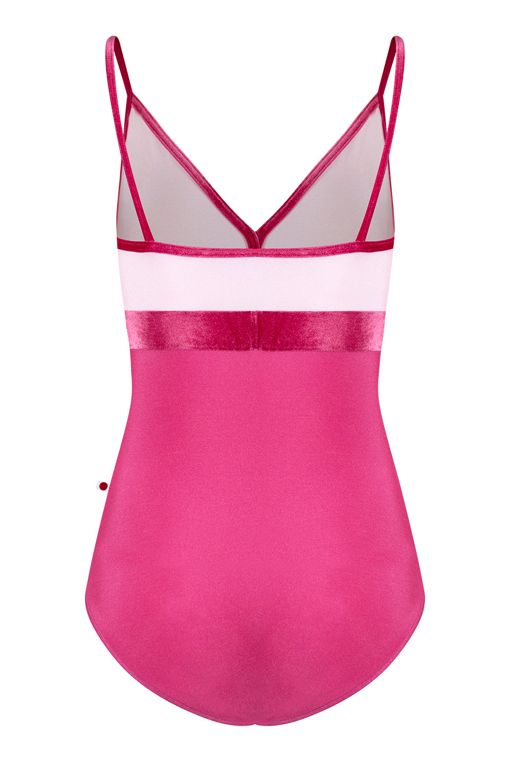 Zoe leotard in N-Waltz body color with N-Rose top color & V-Peony trim and middle band color