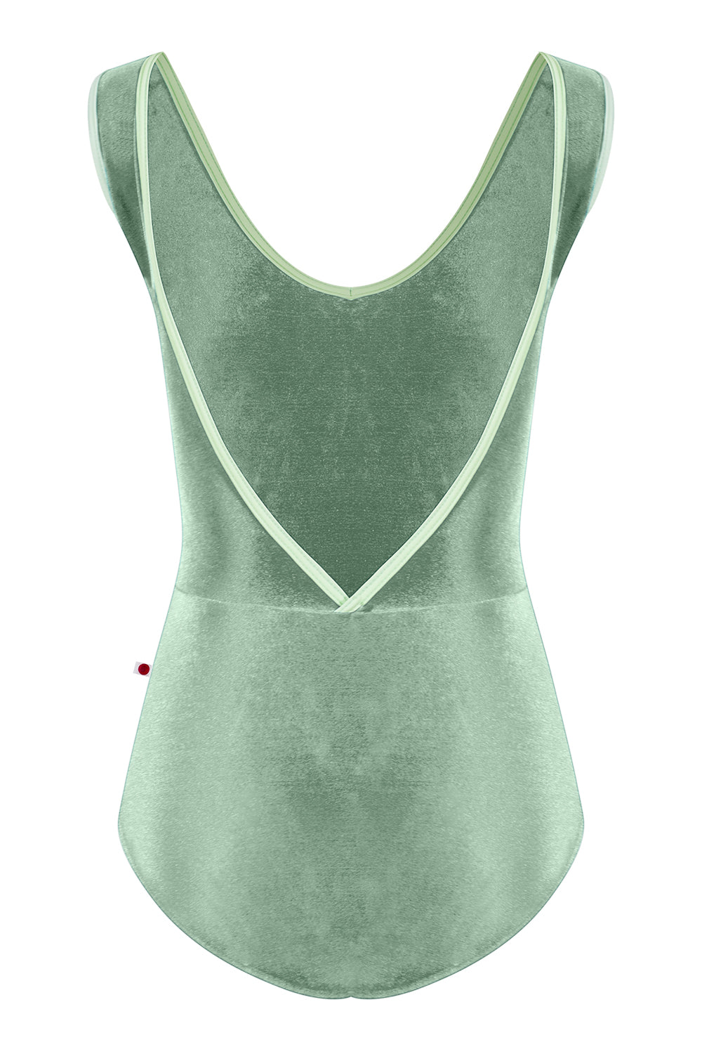 Gina leotard in V-Meadow body & top color with N-Ginko trim color