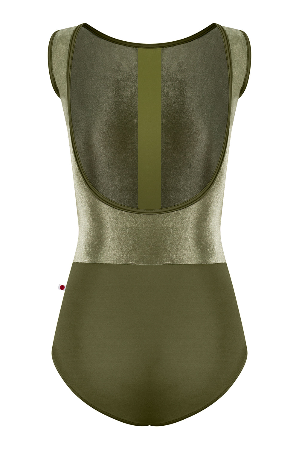 Didi leotard in T-Jungle body & trim color with V-Safari top color and T-Eden middle band