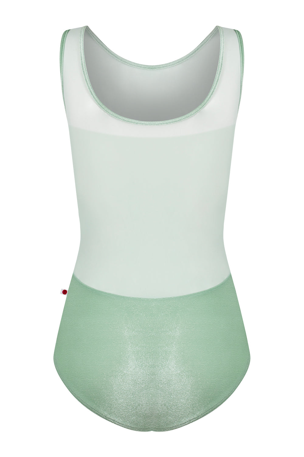 Meagan leotard in V-Meadow body & trim color with Mesh Whisper top color