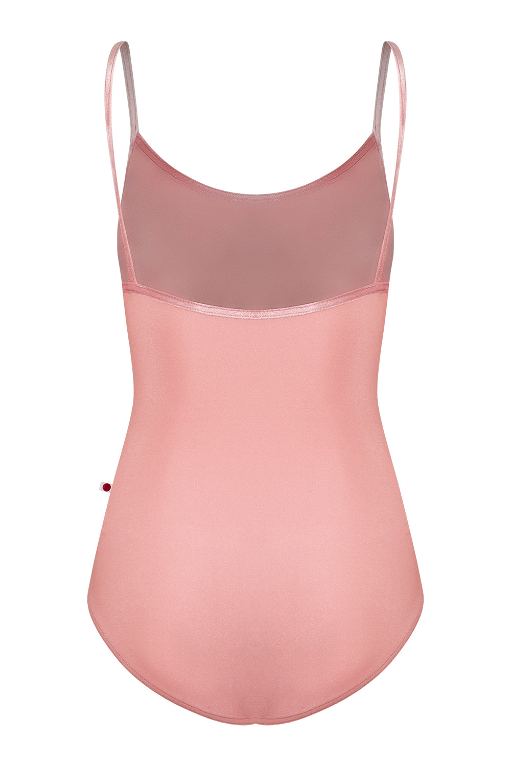 Kathy leotard in N-Antique Rose body color, V-Dreamy trim color with Mesh White overlay