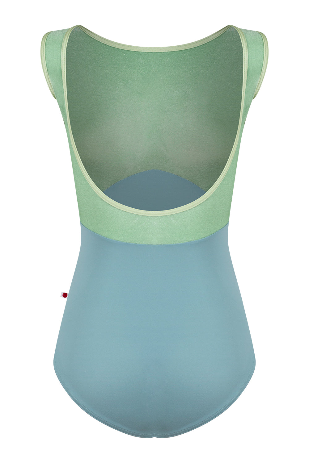 Sofiane Duo leotard in T-Fog body color with V-Meadow top color and N-Ginko trim color