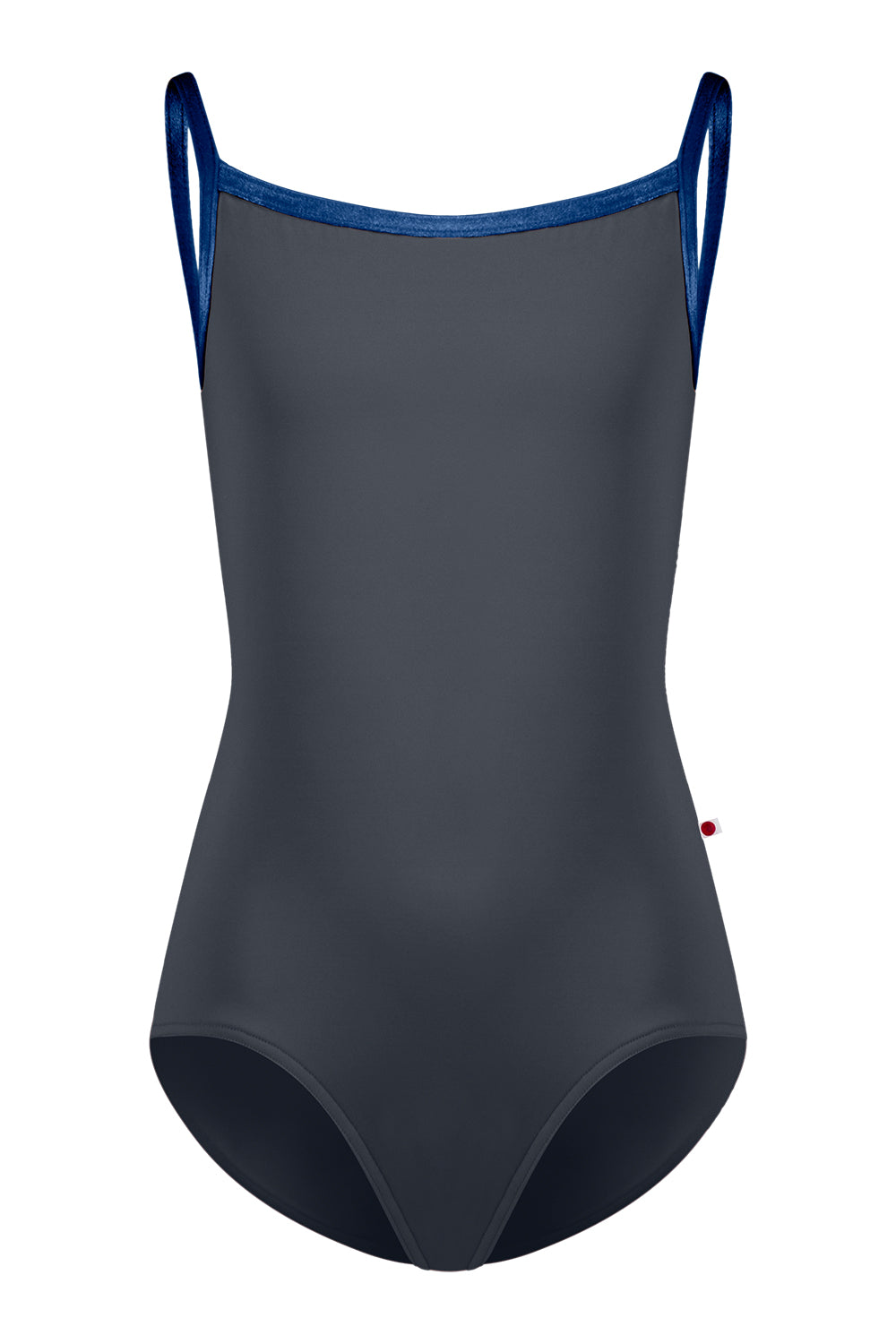 Kids Daniela leotard in T-Titanium body color with V-Pisces trim color
